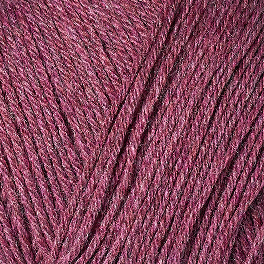 12078 Begonia - Vintage Sock