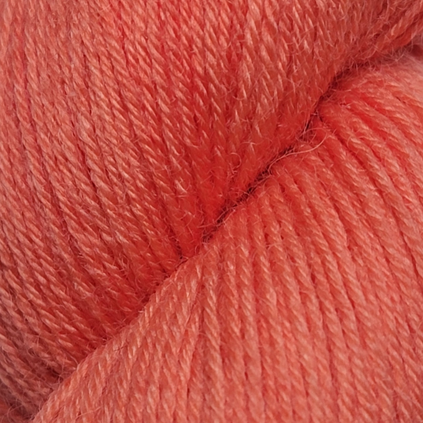 Coho - BFL Sock