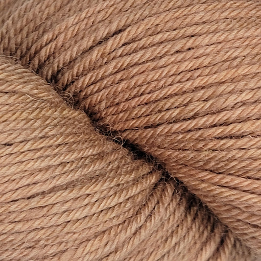 Fawn - BFL DK